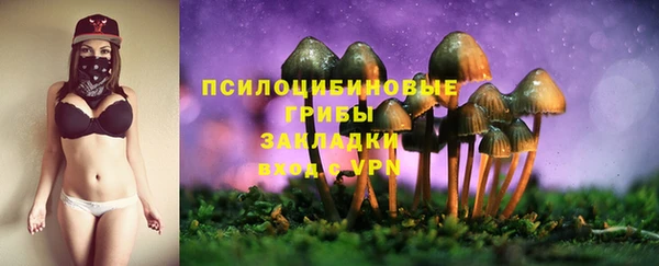 прущий лед Абаза