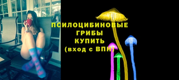героин Алексин