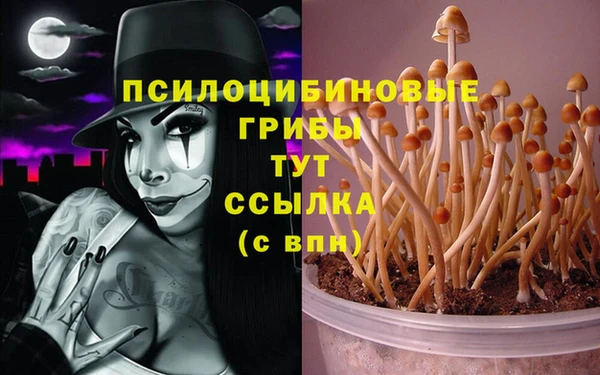 прущий лед Абаза