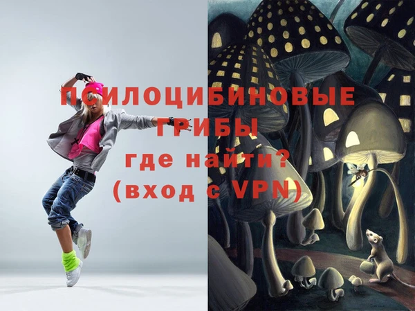 прущий лед Абаза