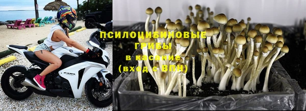 гидропоника Абдулино